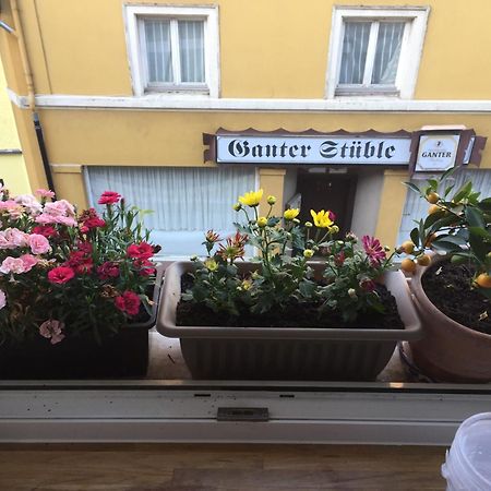 Homestay Waldshut-Tiengen Εξωτερικό φωτογραφία