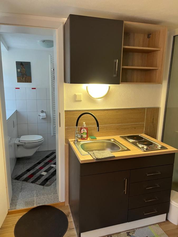 Homestay Waldshut-Tiengen Εξωτερικό φωτογραφία