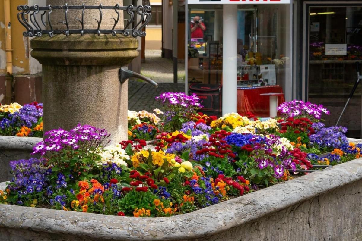 Homestay Waldshut-Tiengen Εξωτερικό φωτογραφία